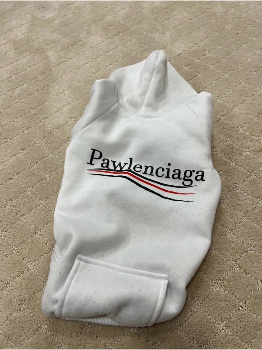 White Designer Inspired Pawlenciaga Dog Sweatshirt